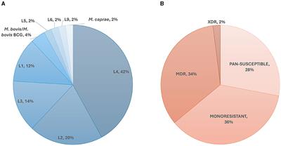 iValiD-TB: a fully characterized Mycobacterium tuberculosis dataset for antimicrobial resistance bioinformatics workflow validations